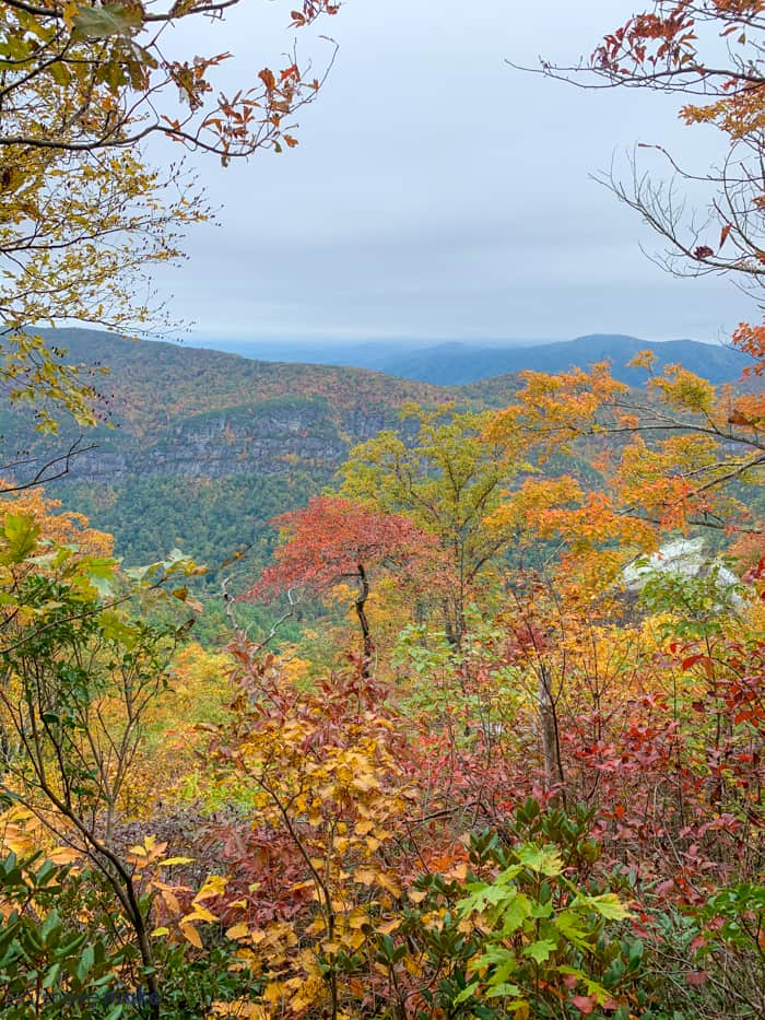 Fall foliage overlook