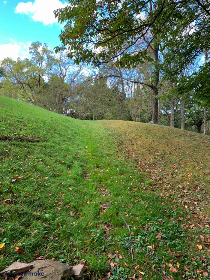 A large green field with trees in the background