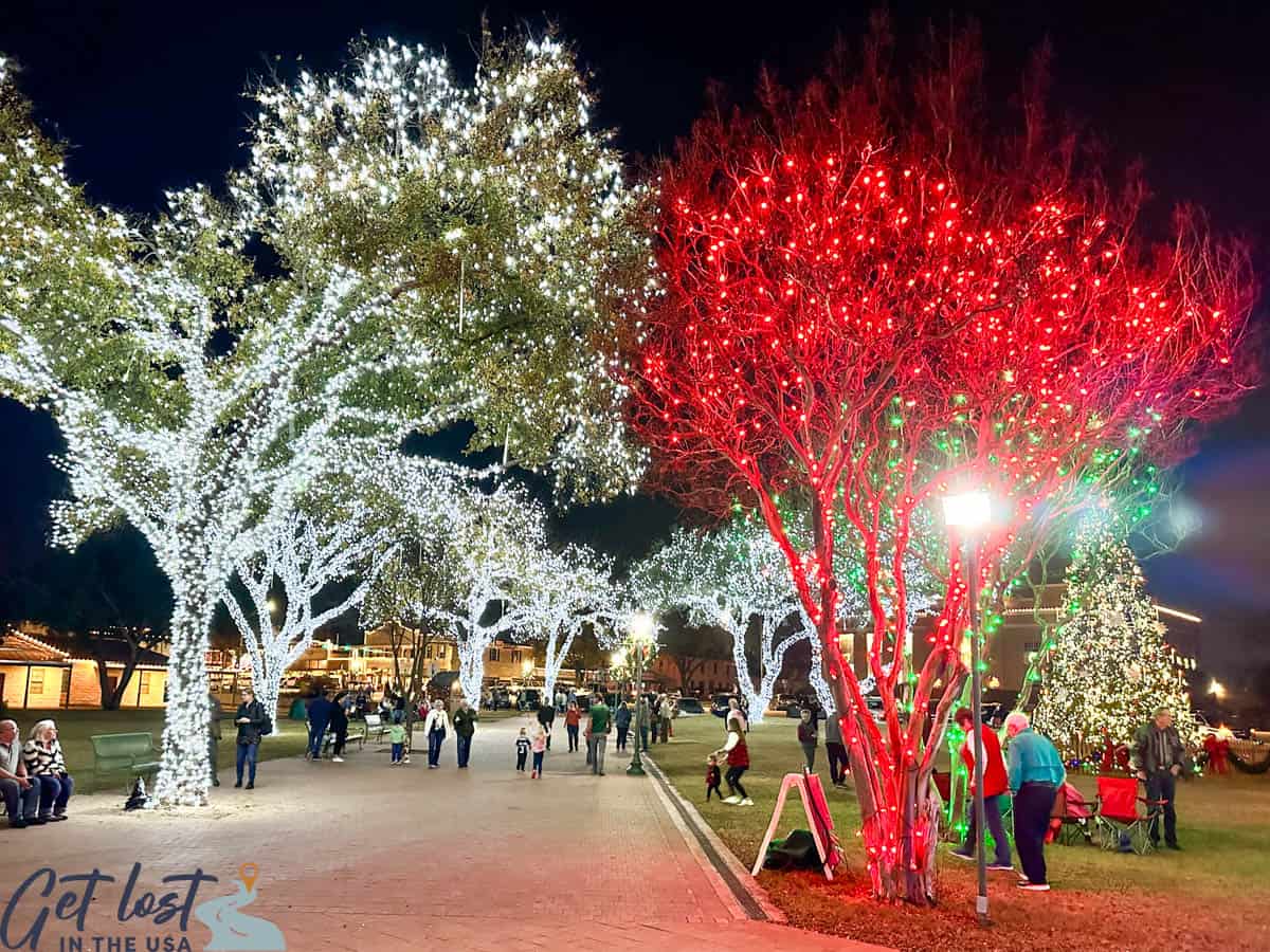 Fredericksburg Christmas Night of Lights_trees