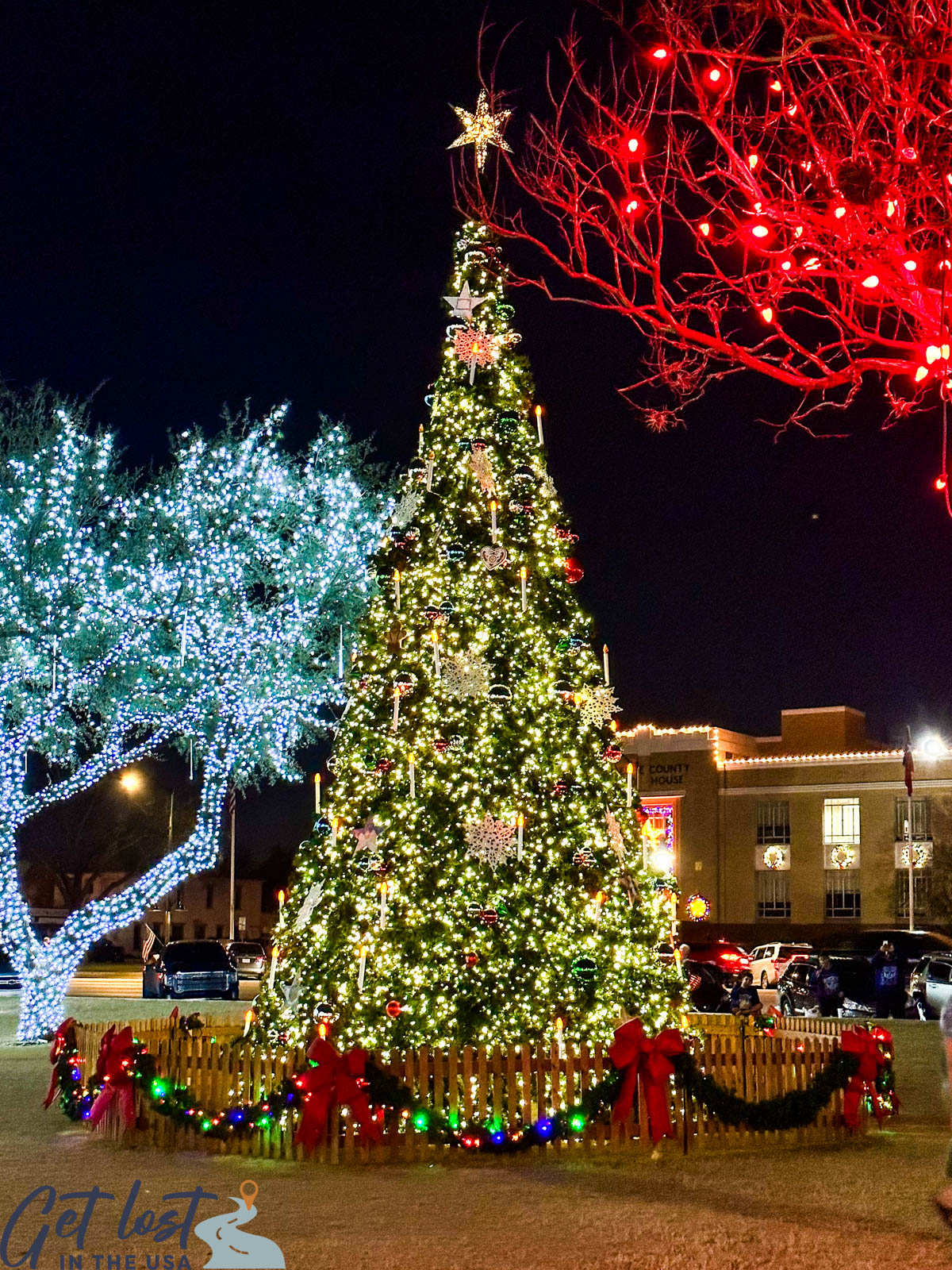 lighted Christmas tree Fredericksburg