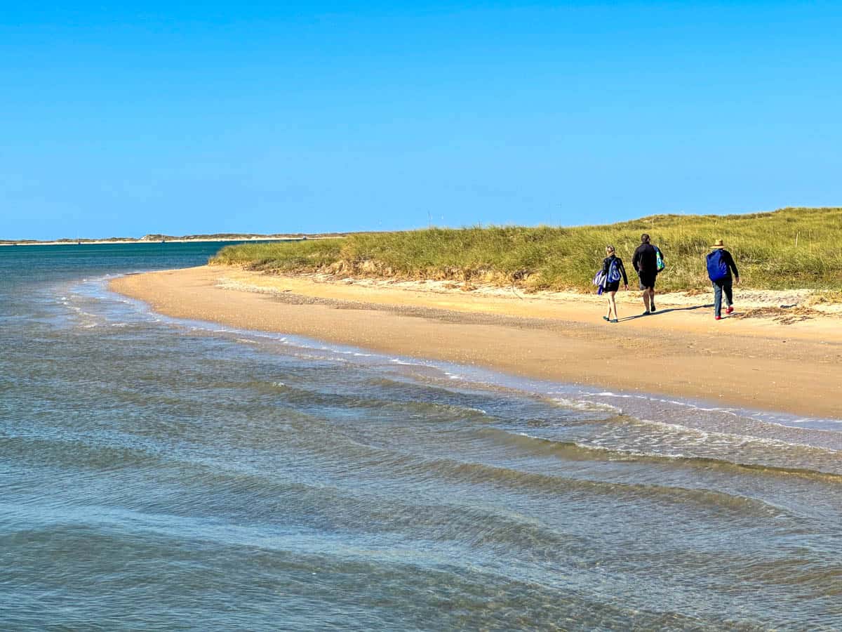 Shackleford Banks beach