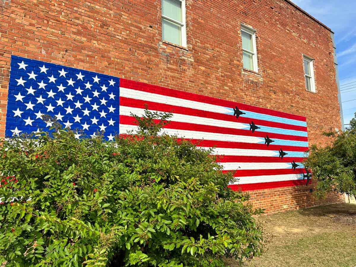 jets mural in Goldsboro