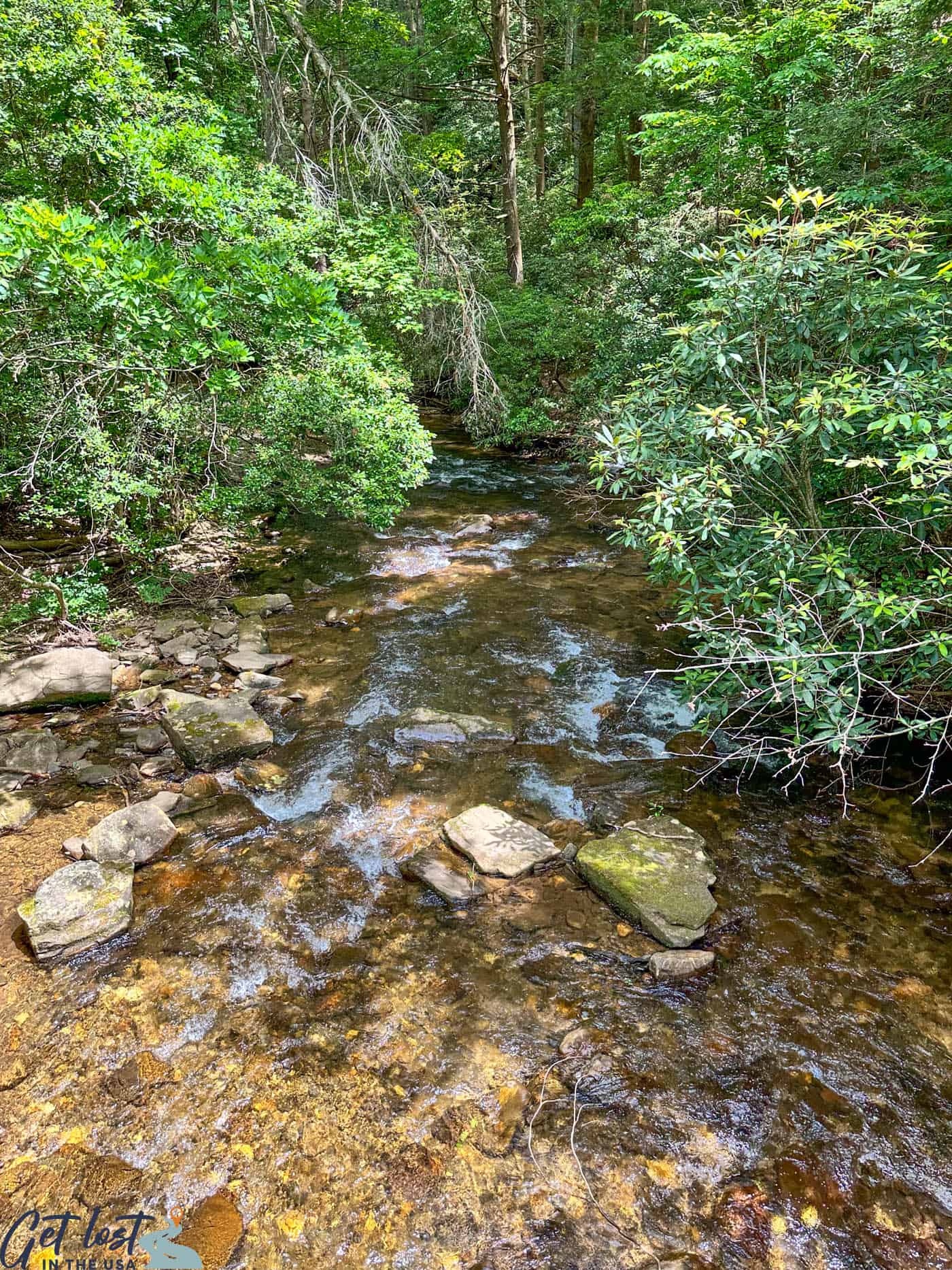 Smithgall Woods State Park - creek
