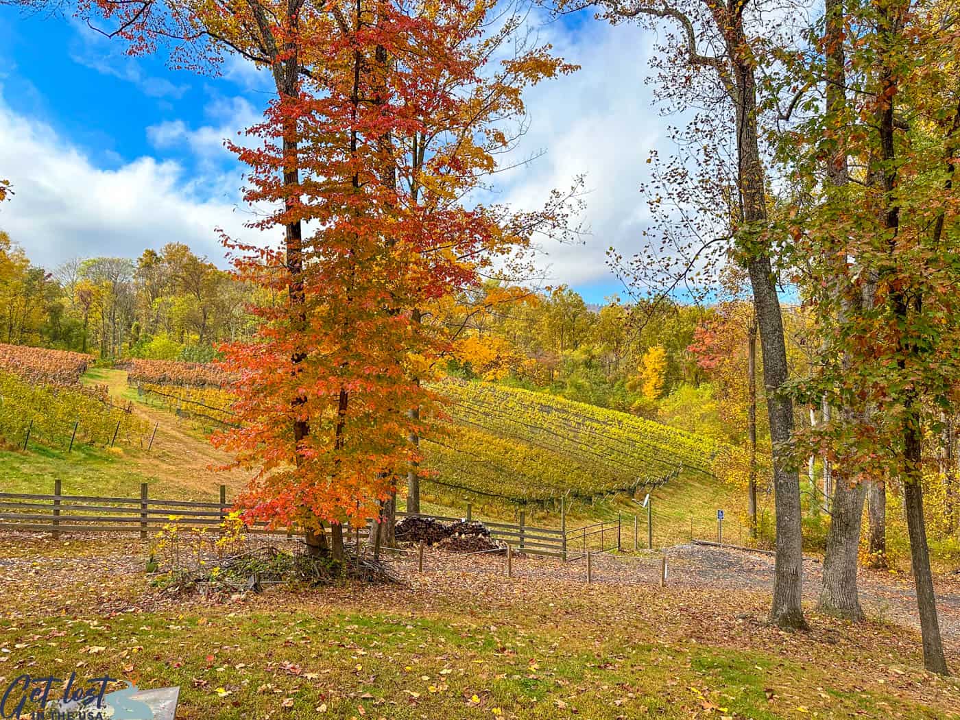 fall scenery at Arterra in Delaplane VA