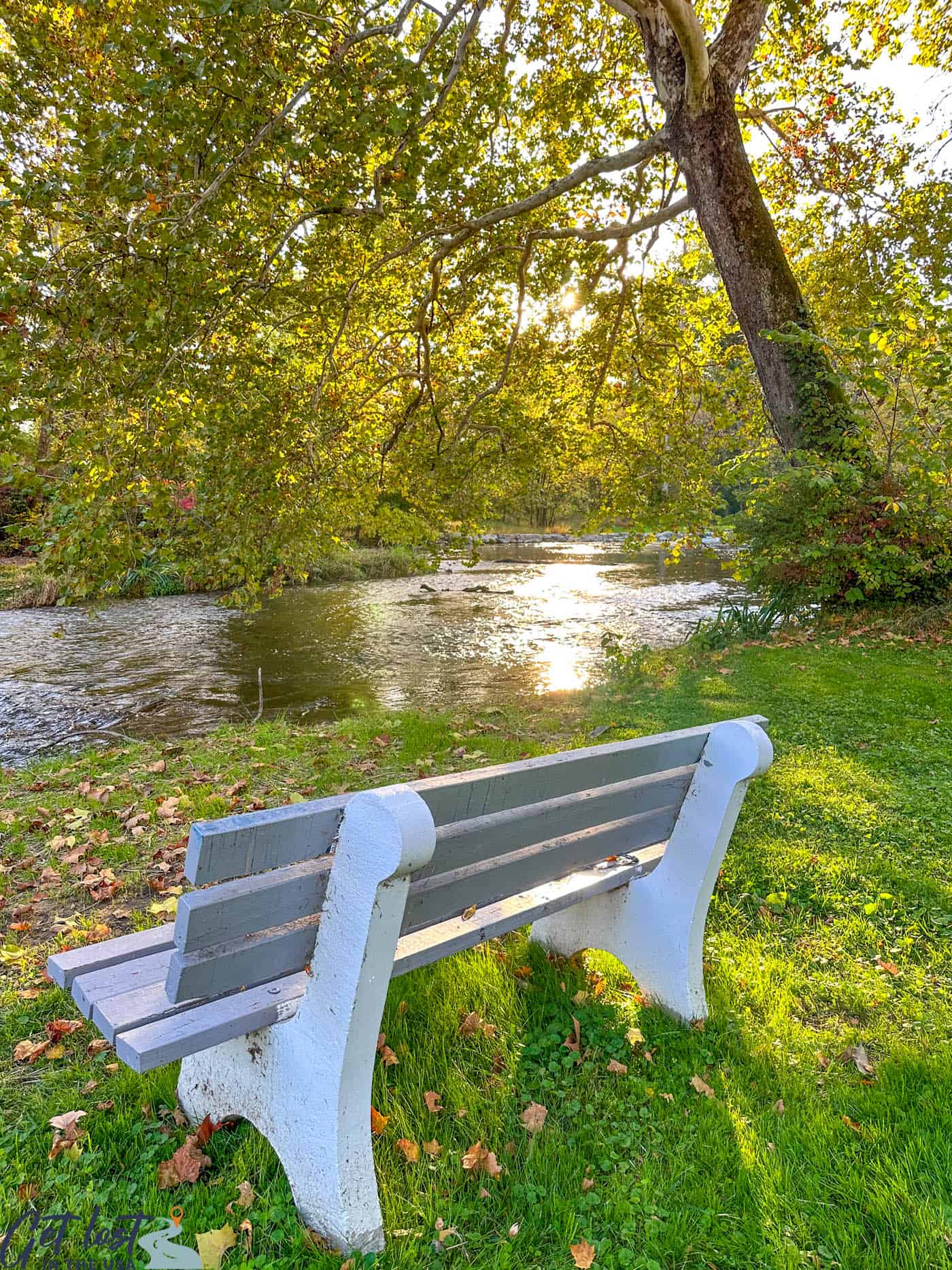 bench by creek