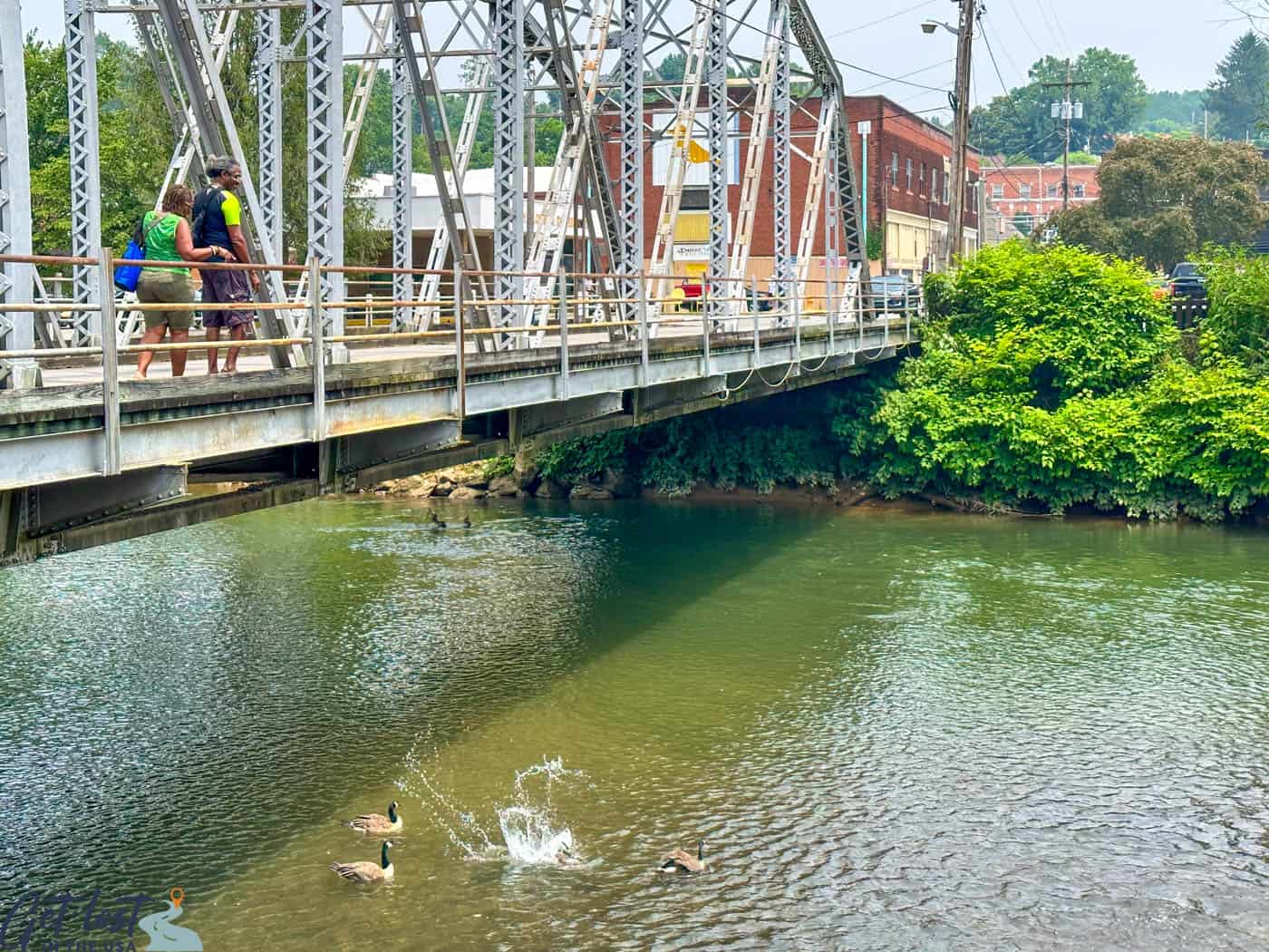 geese and bridge in McCaysville