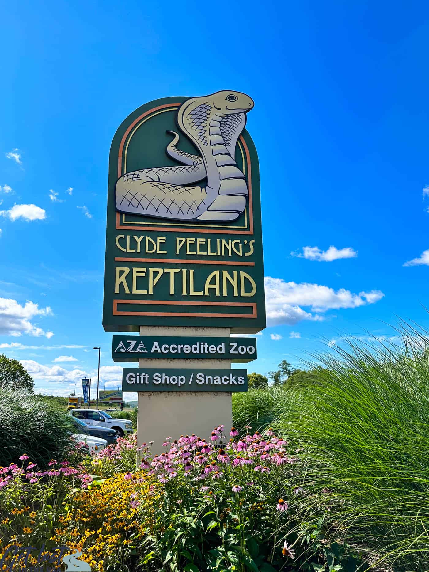 Reptileland sign