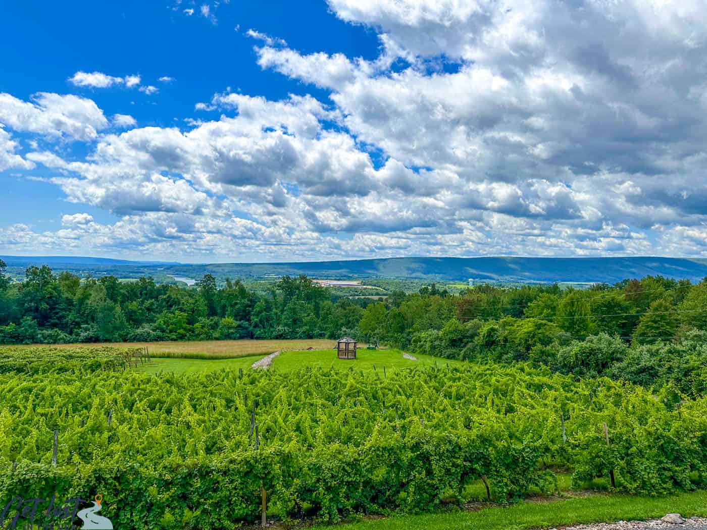 view from 4 Friends Vineyard