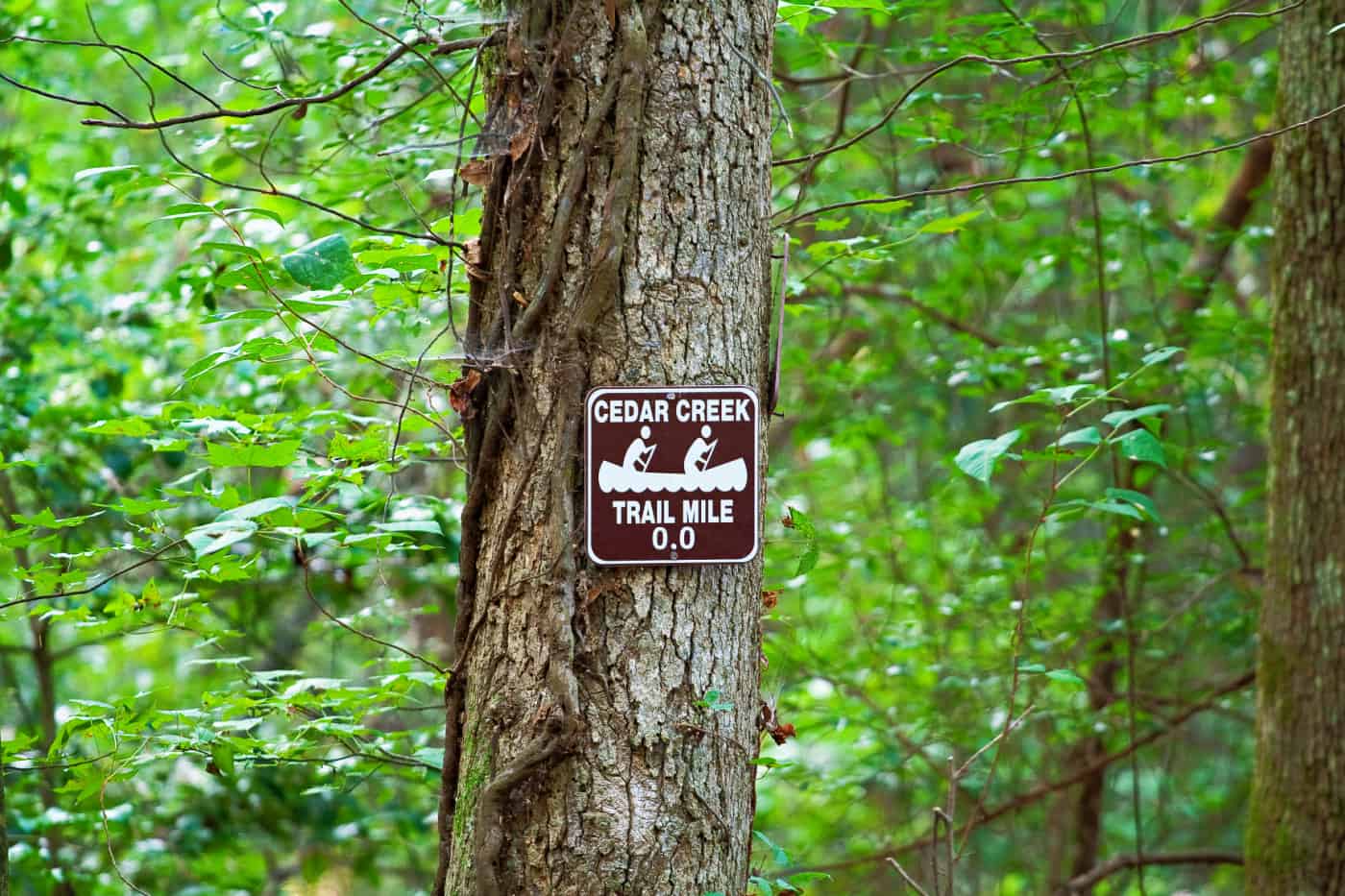 Cedar Creek Trail marker