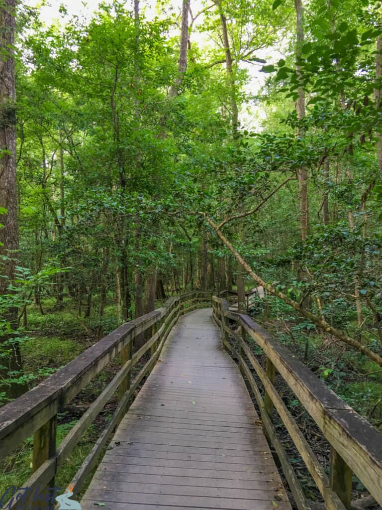 boardwalk trail