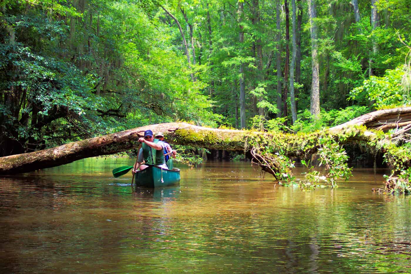 canoeing at Congaree National Park