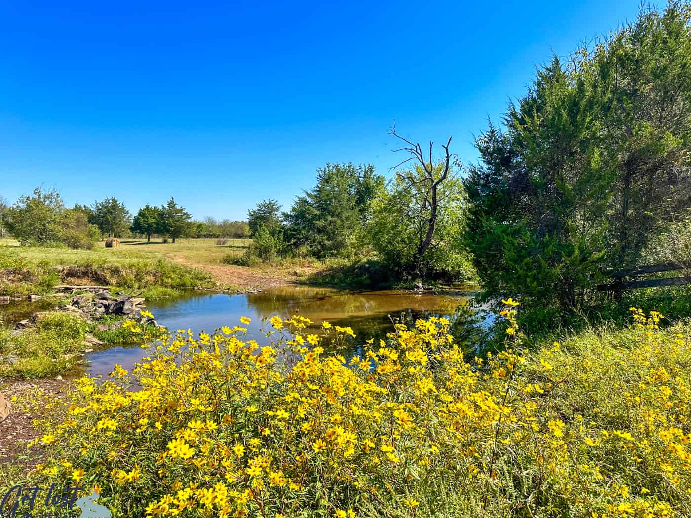 creek with yellow flowers in foreground.