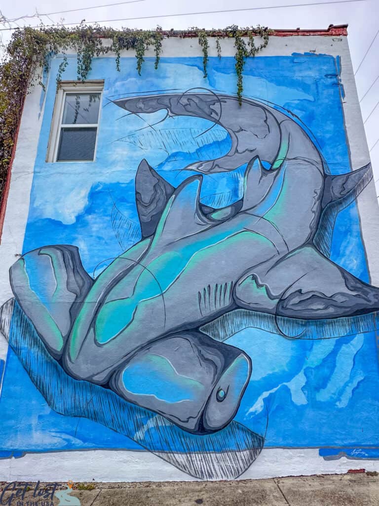 hammerhead shark mural.