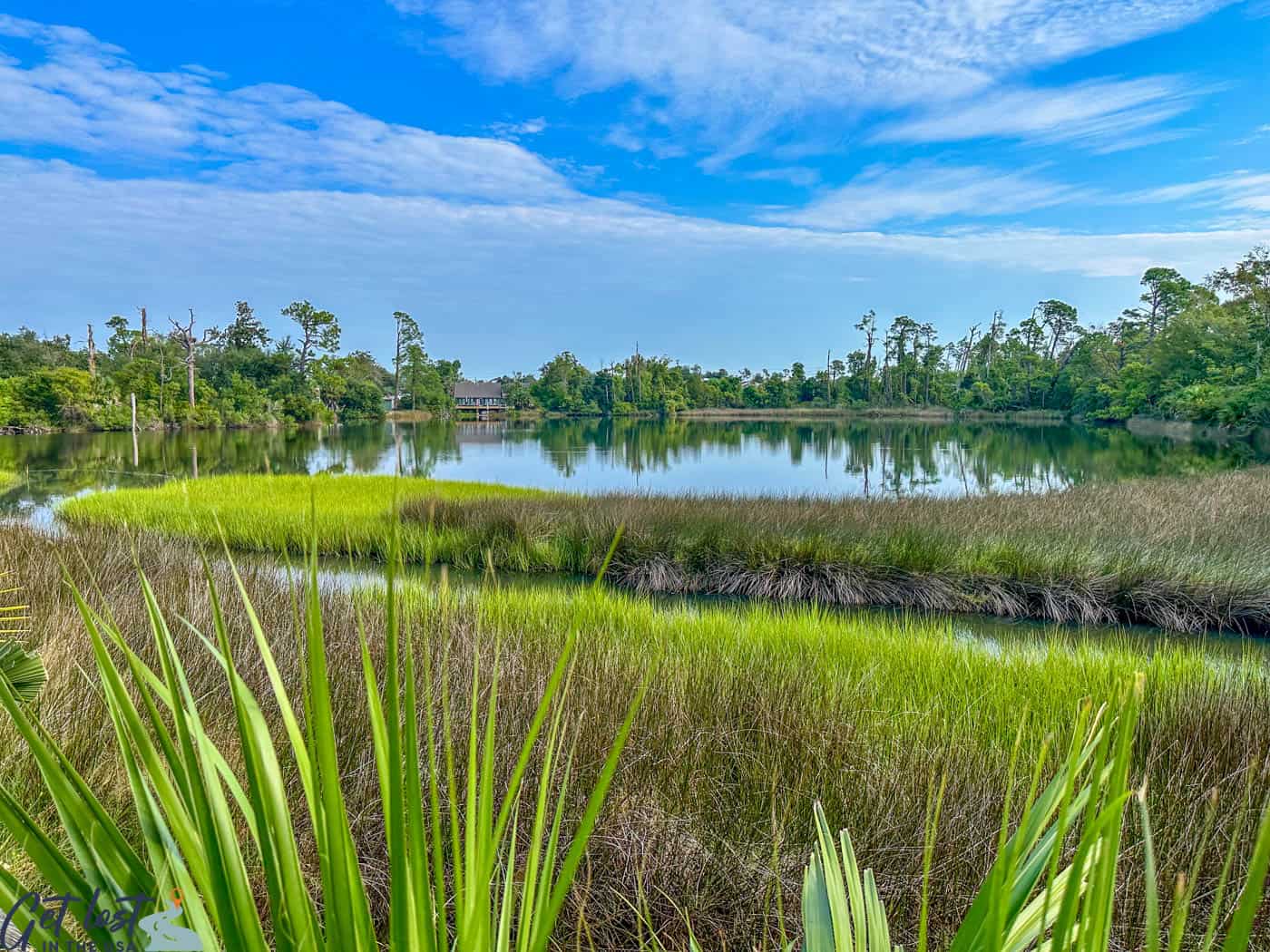 view of bayou behind Big Mama's on the Bayou.