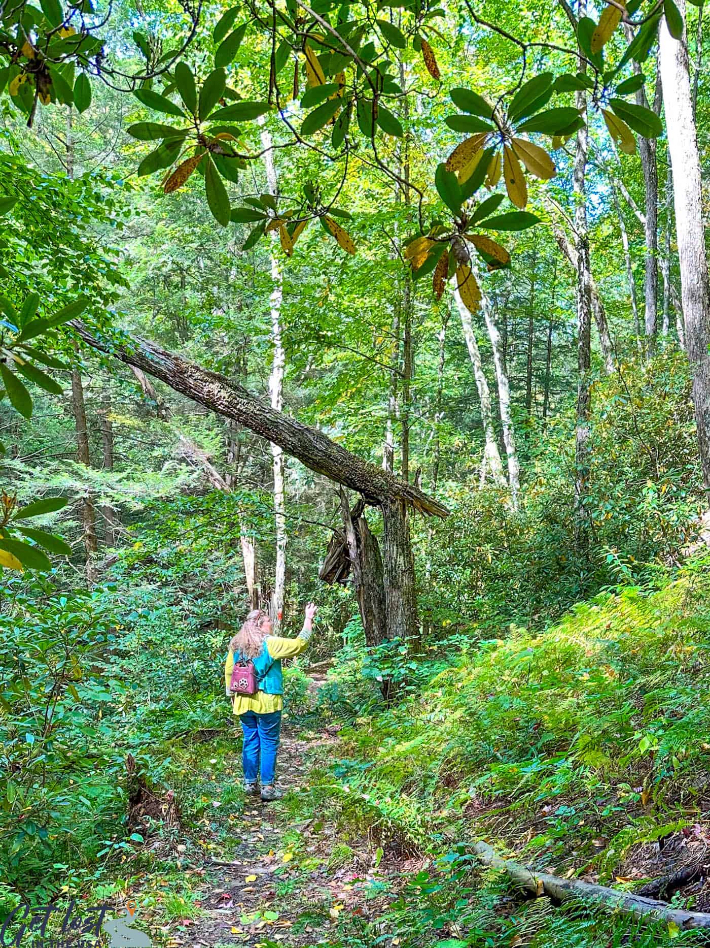 lady taking photo on Yost Run Falls Trail.