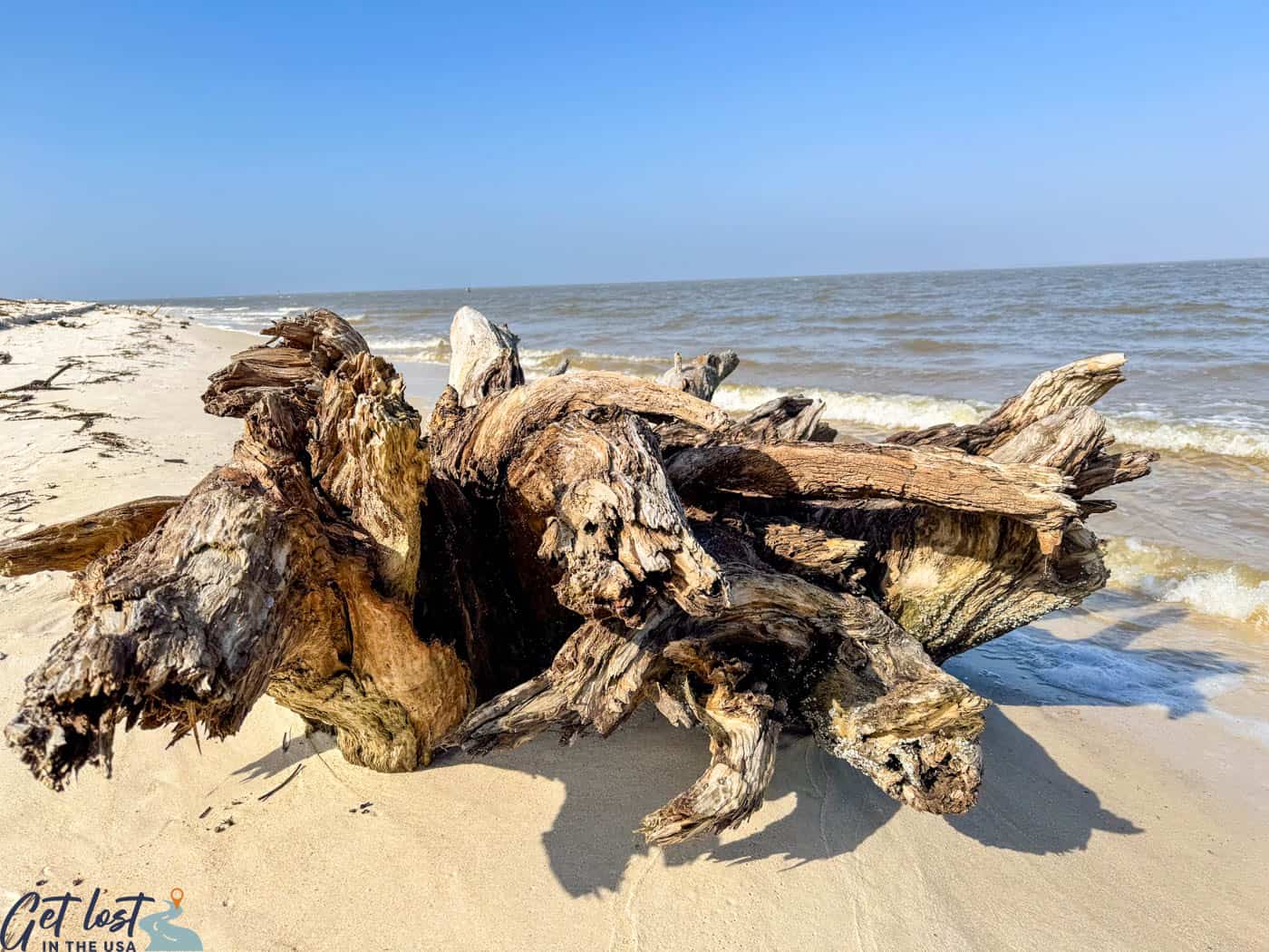 driftwood at Fort Morgan.