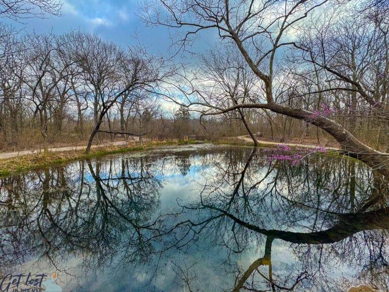 Chickasaw National Recreation Area: Guide to Springs, Waterfalls, Bison ...