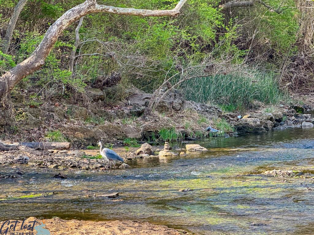 Chickasaw National Recreation Area: Guide to Springs, Waterfalls, Bison ...