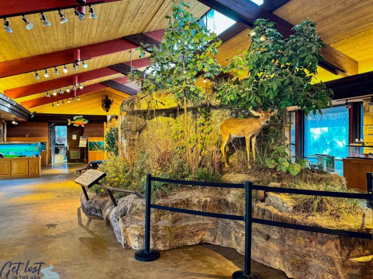 Chickasaw National Recreation Area: Guide to Springs, Waterfalls, Bison ...