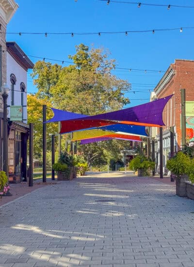 6th and Main Alley - Shelbyville.