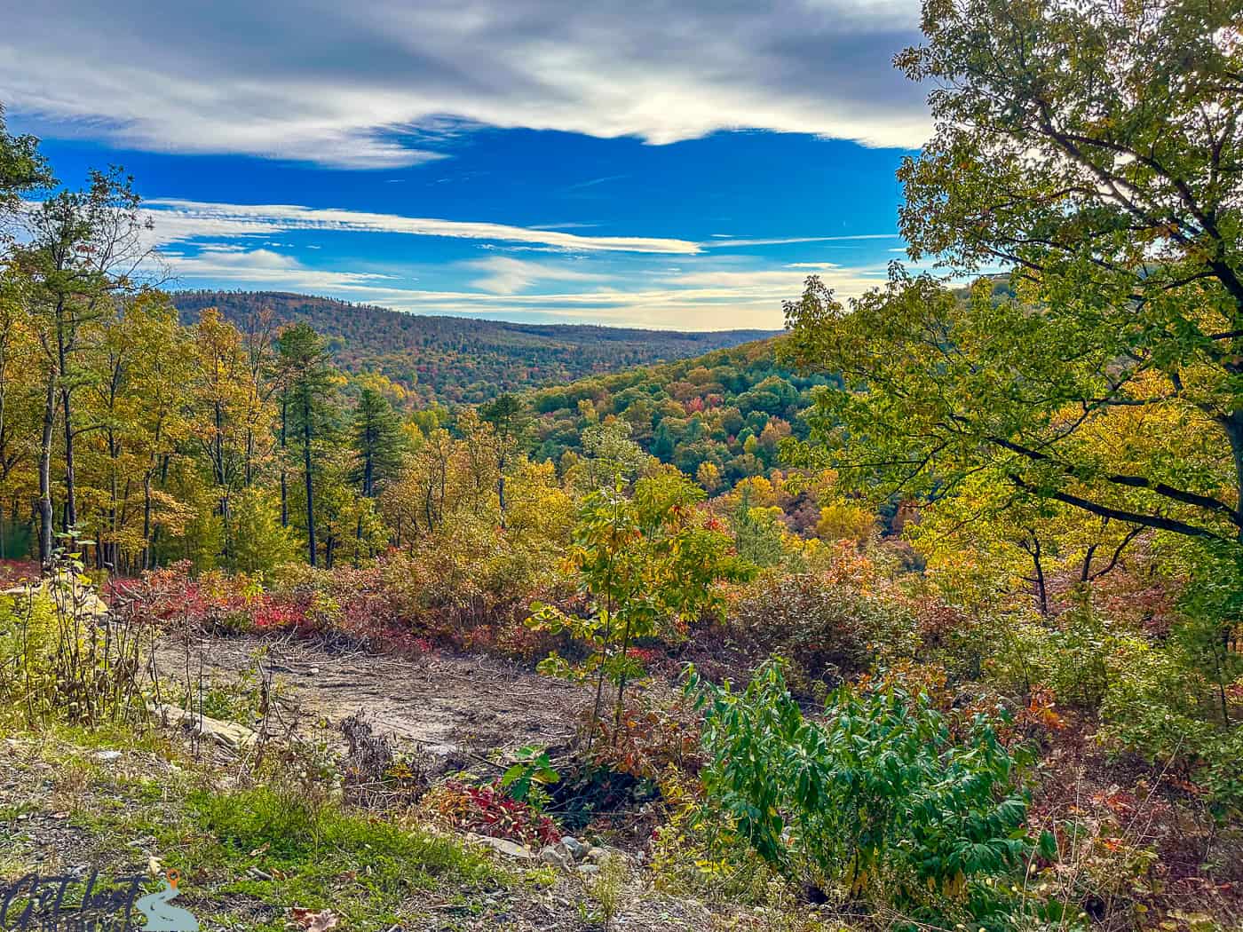 beautiful view from King's Gap.