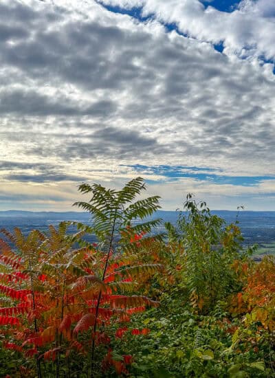 view at Waggoner's Gap.