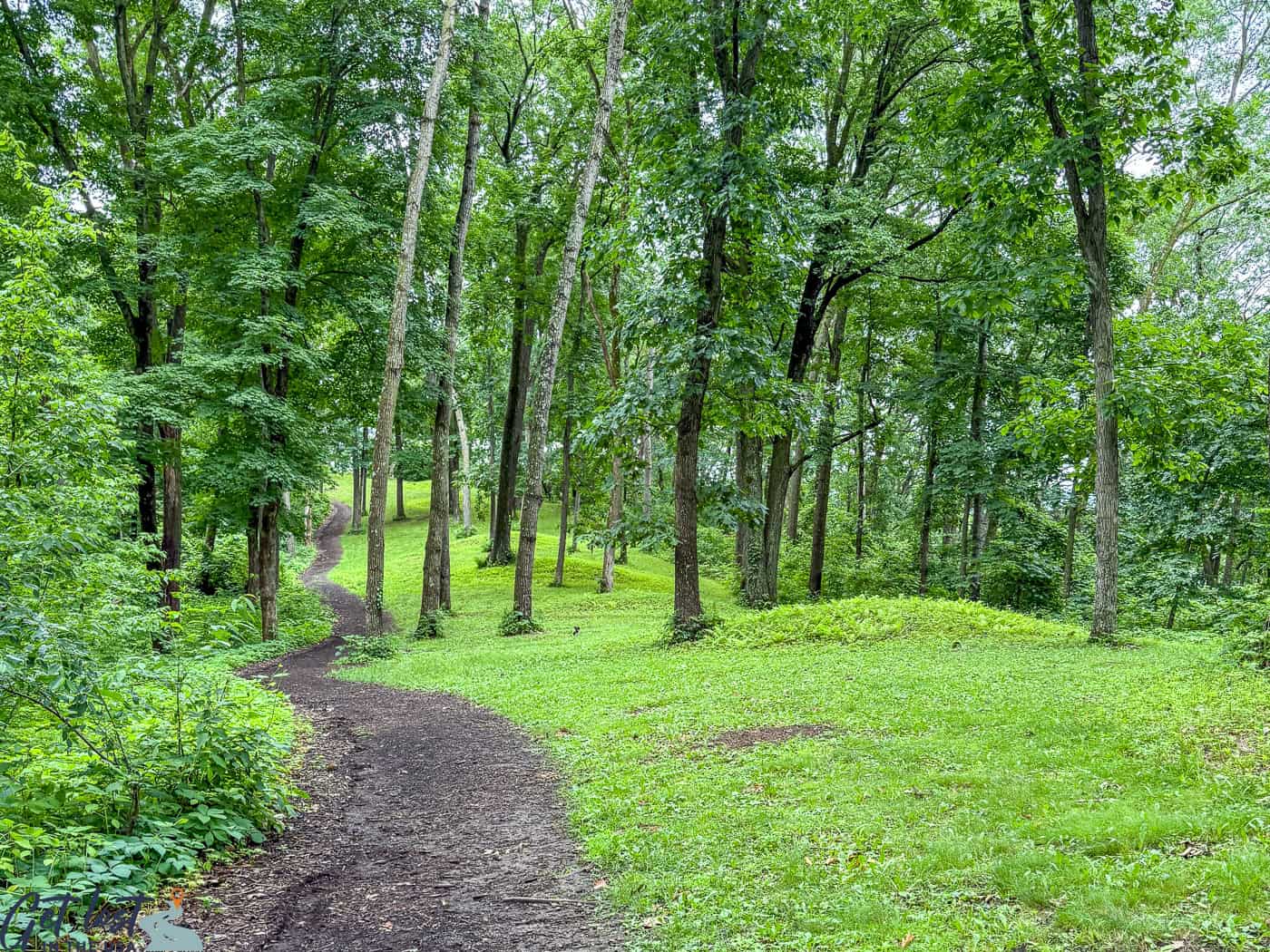 string of pearls - mounds on Fire Point Trail.