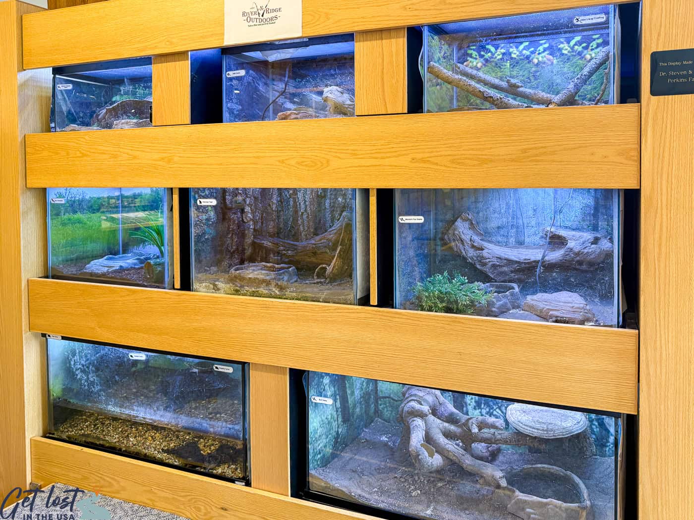 river critters in tanks.