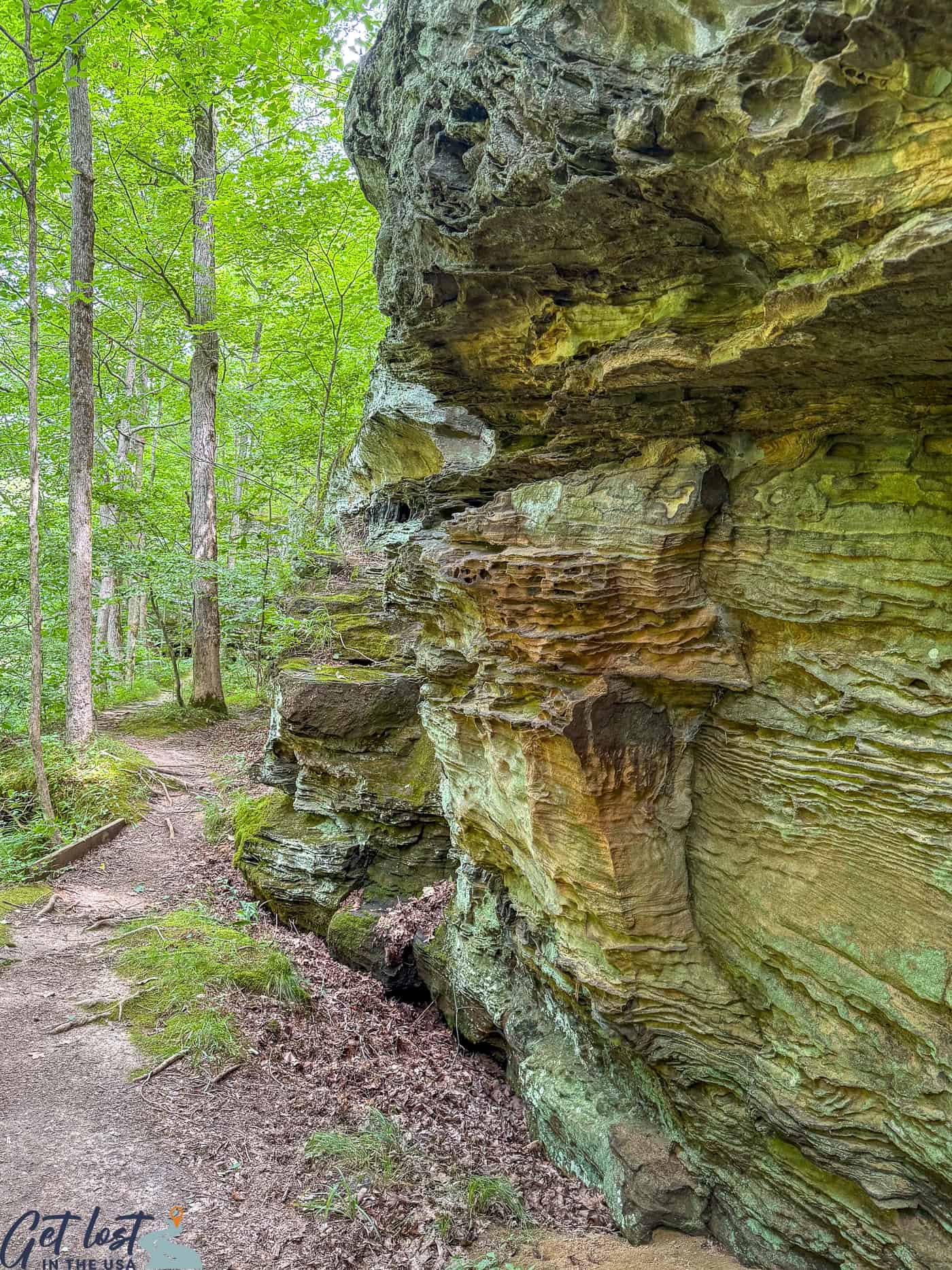 bluff along Rocky Bluff Trail.