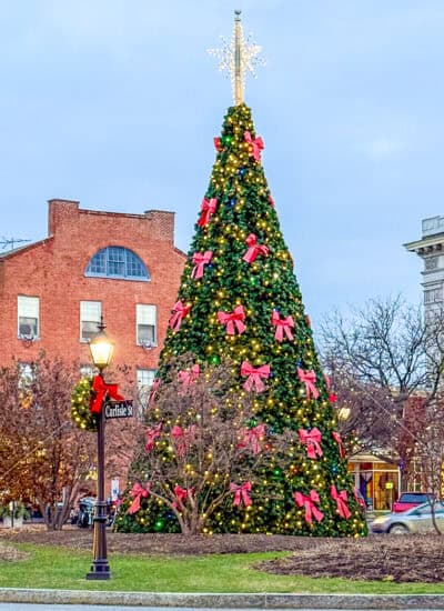 Christmas tree in Gettysburg Square.