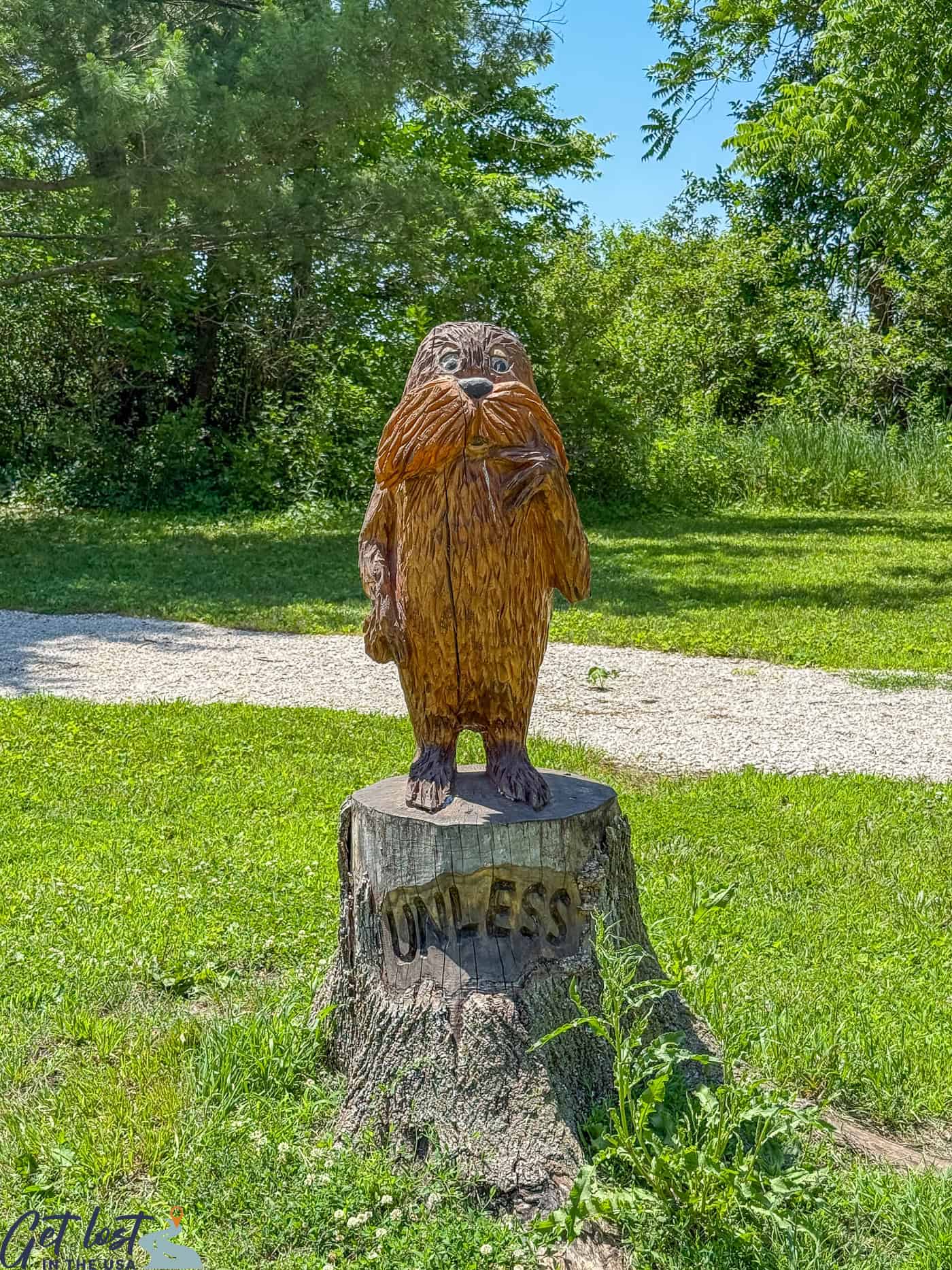 Lorax tree.