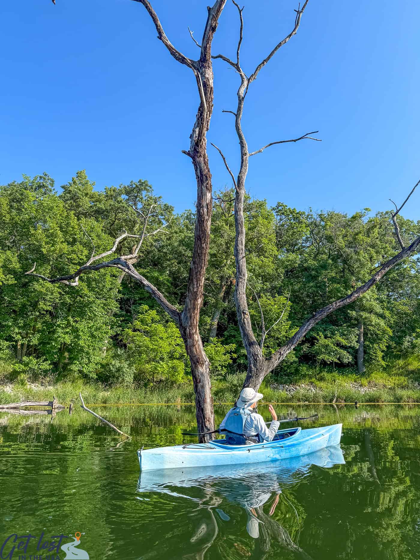lady in kayak in front of craggy tree.