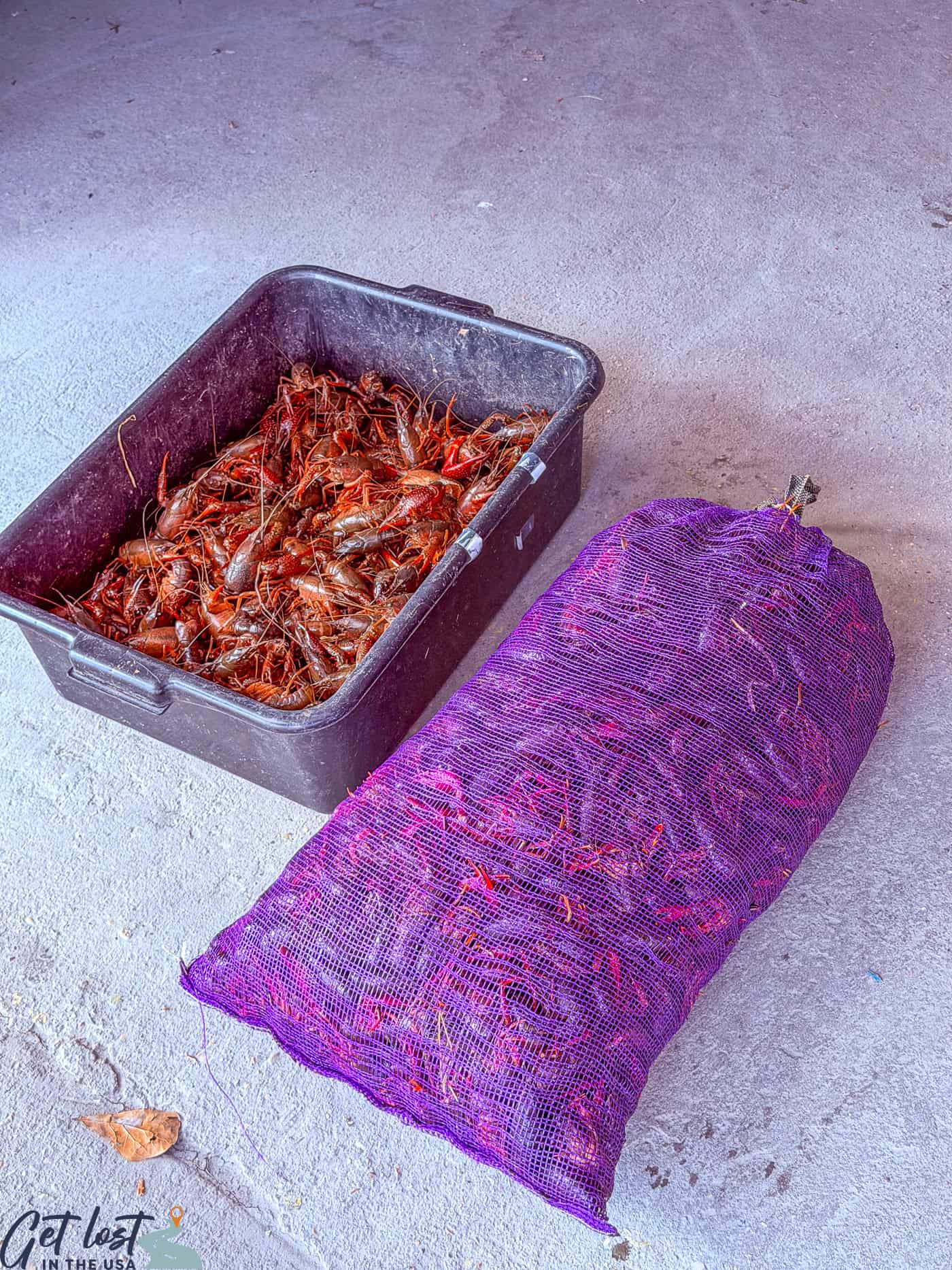sack of crawfish.