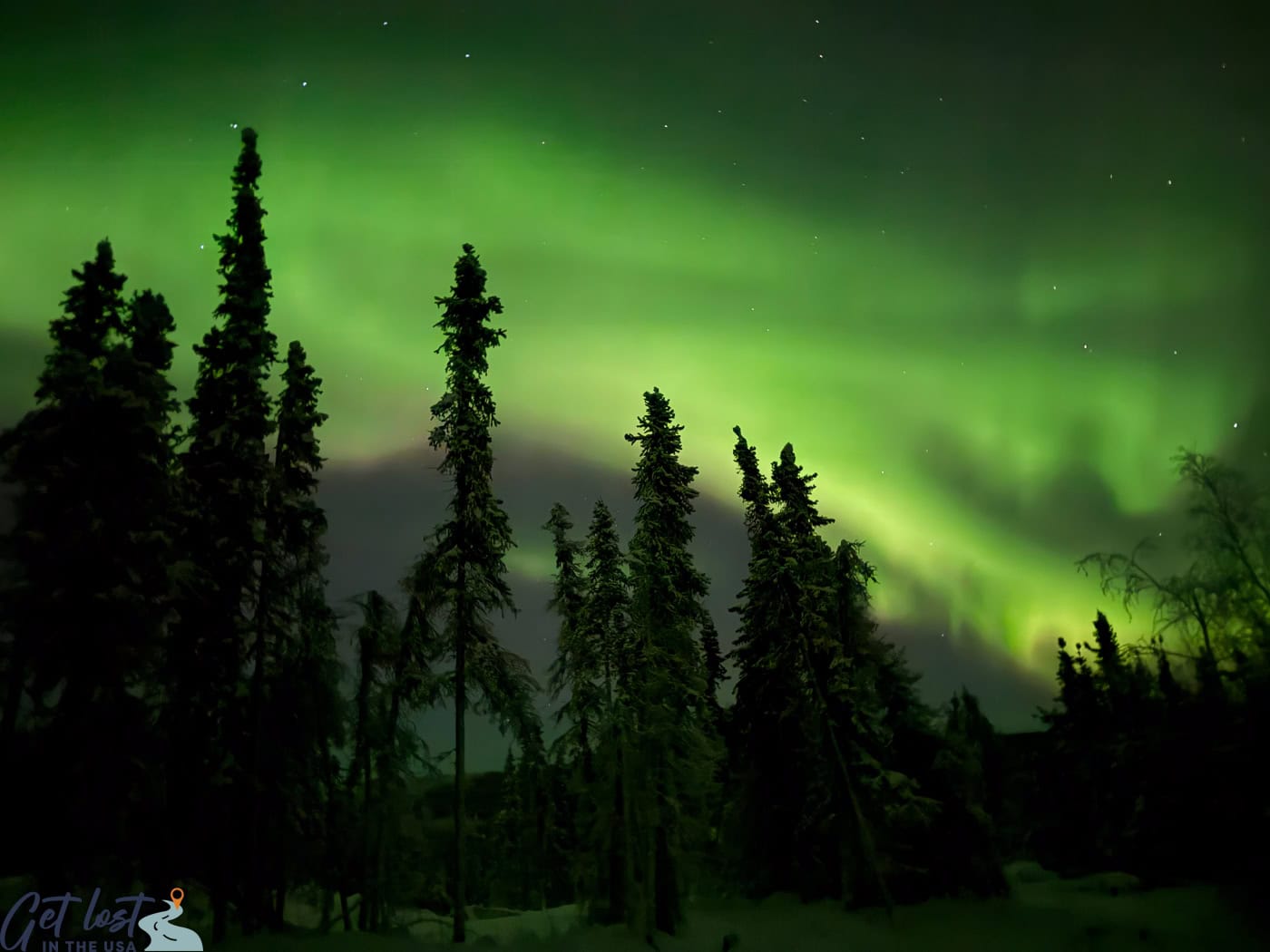 Borealis Basecamp northern lights.
