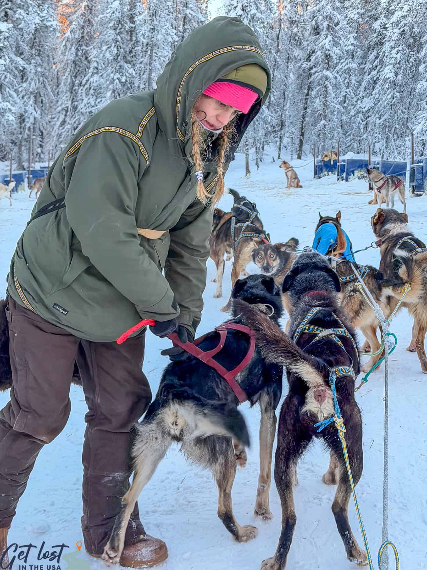 dog musher with sled dogs at Borealis Basecamp.