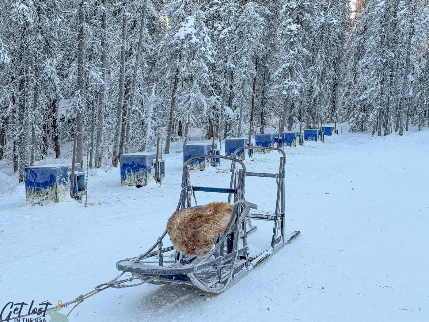 dog sled.