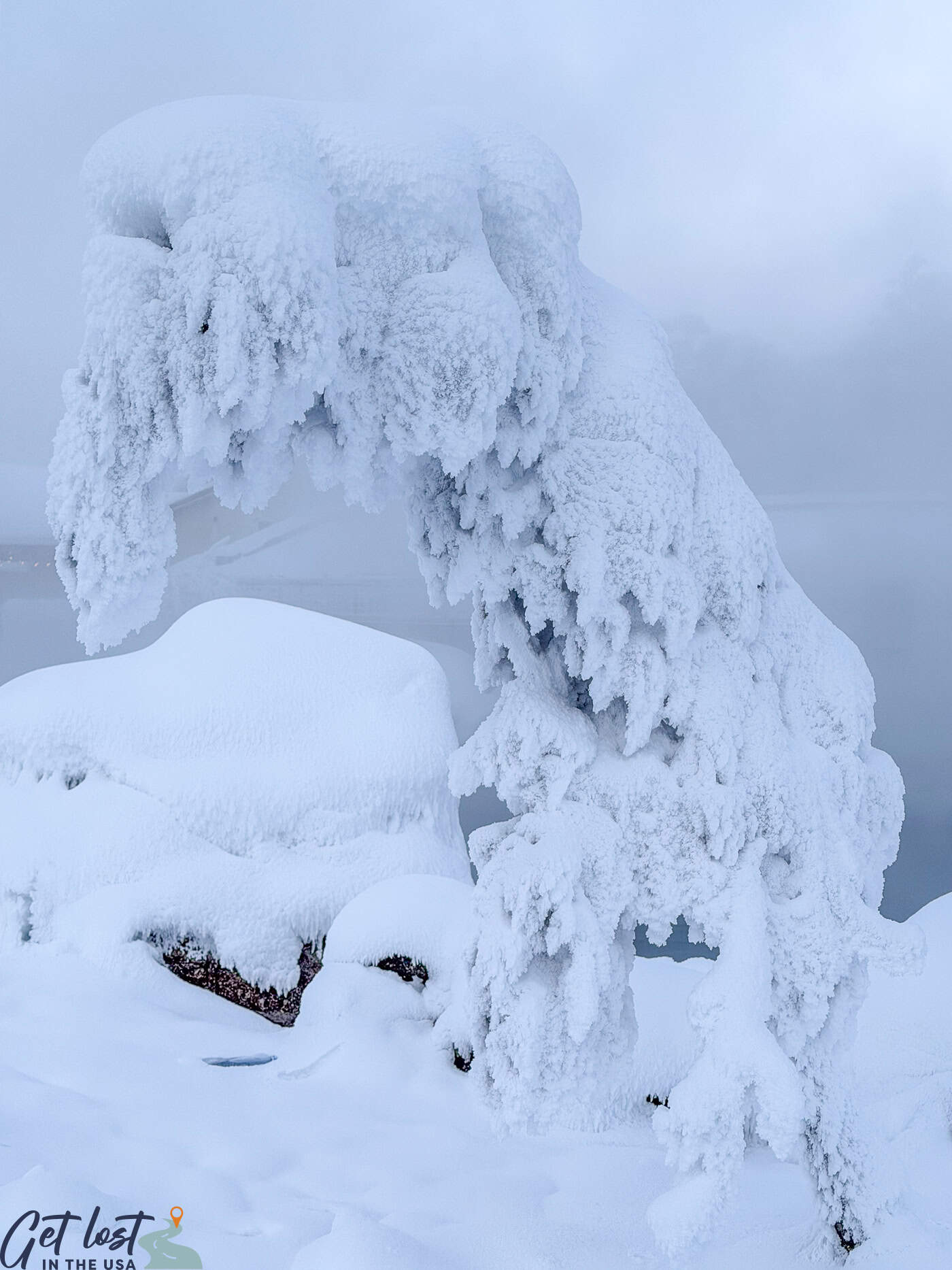 grinch style snowy tree.