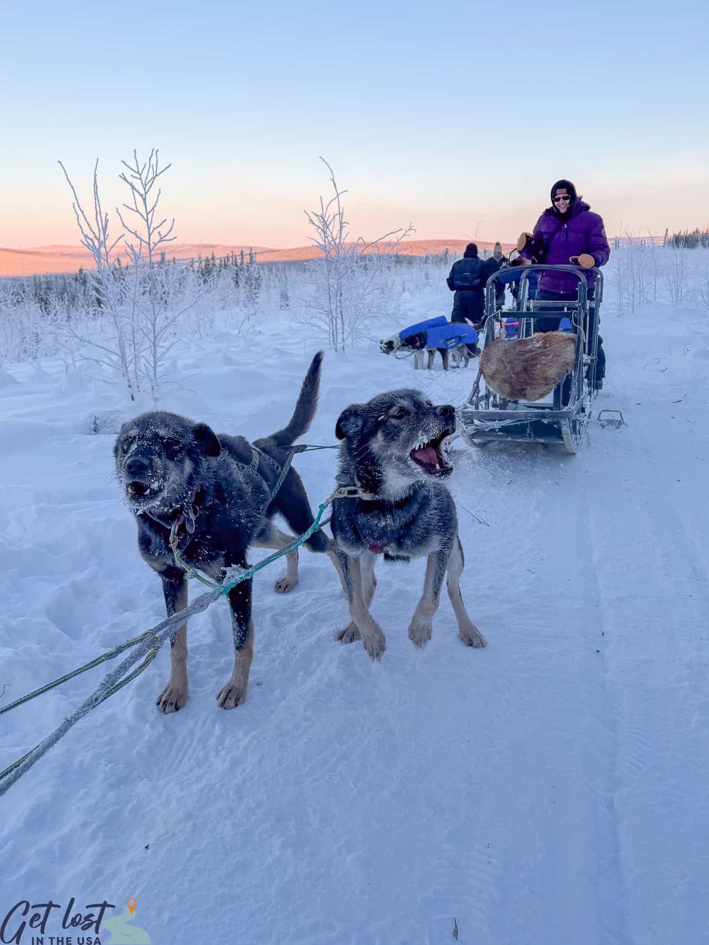 lady standing on dogsled at Borealis Basecamp.