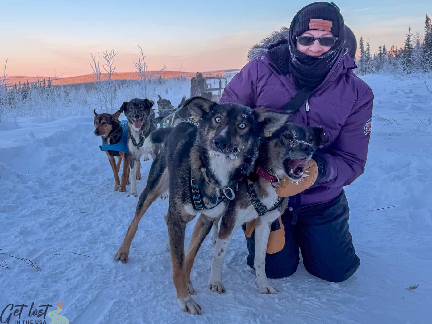 lady with sled dogs.