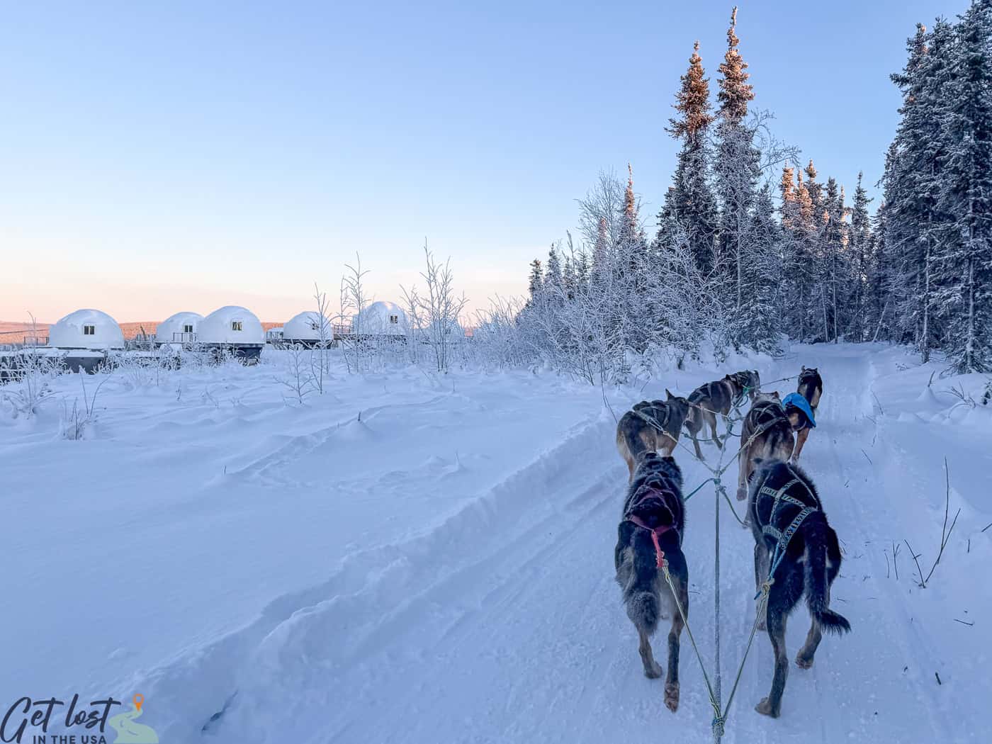 sled dogs pulling sleigh toward igloos.