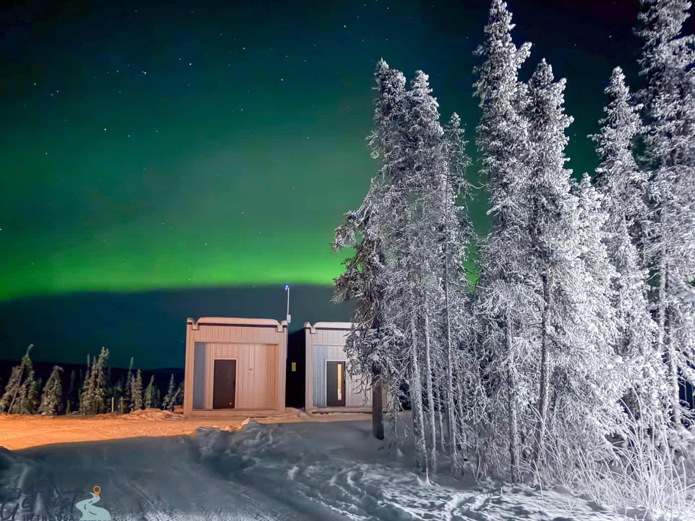 snowy trees in foreground of Borealis Basecamp cubes with Northern Lights in sky.