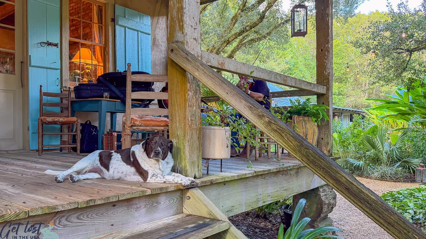 dog lying on porch.