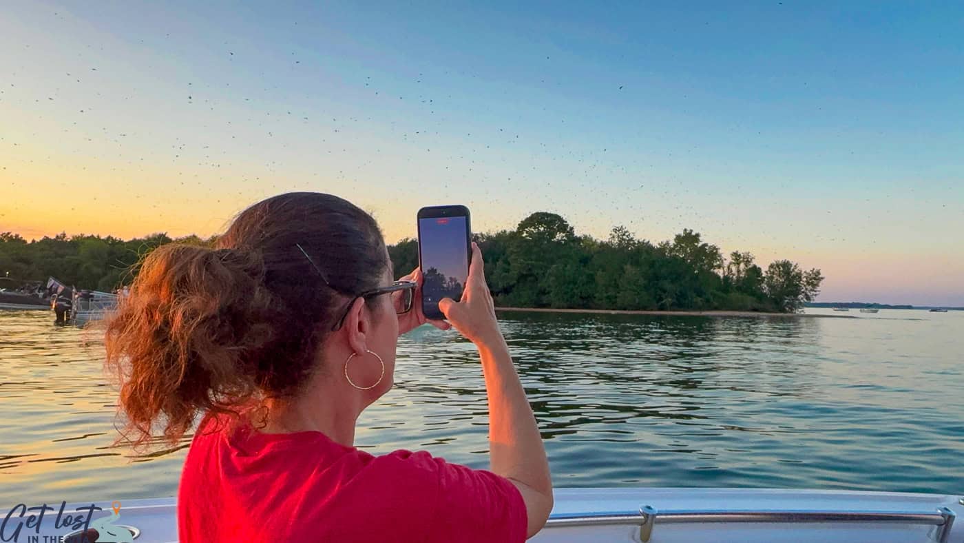 lady filming purple martins on iphone.