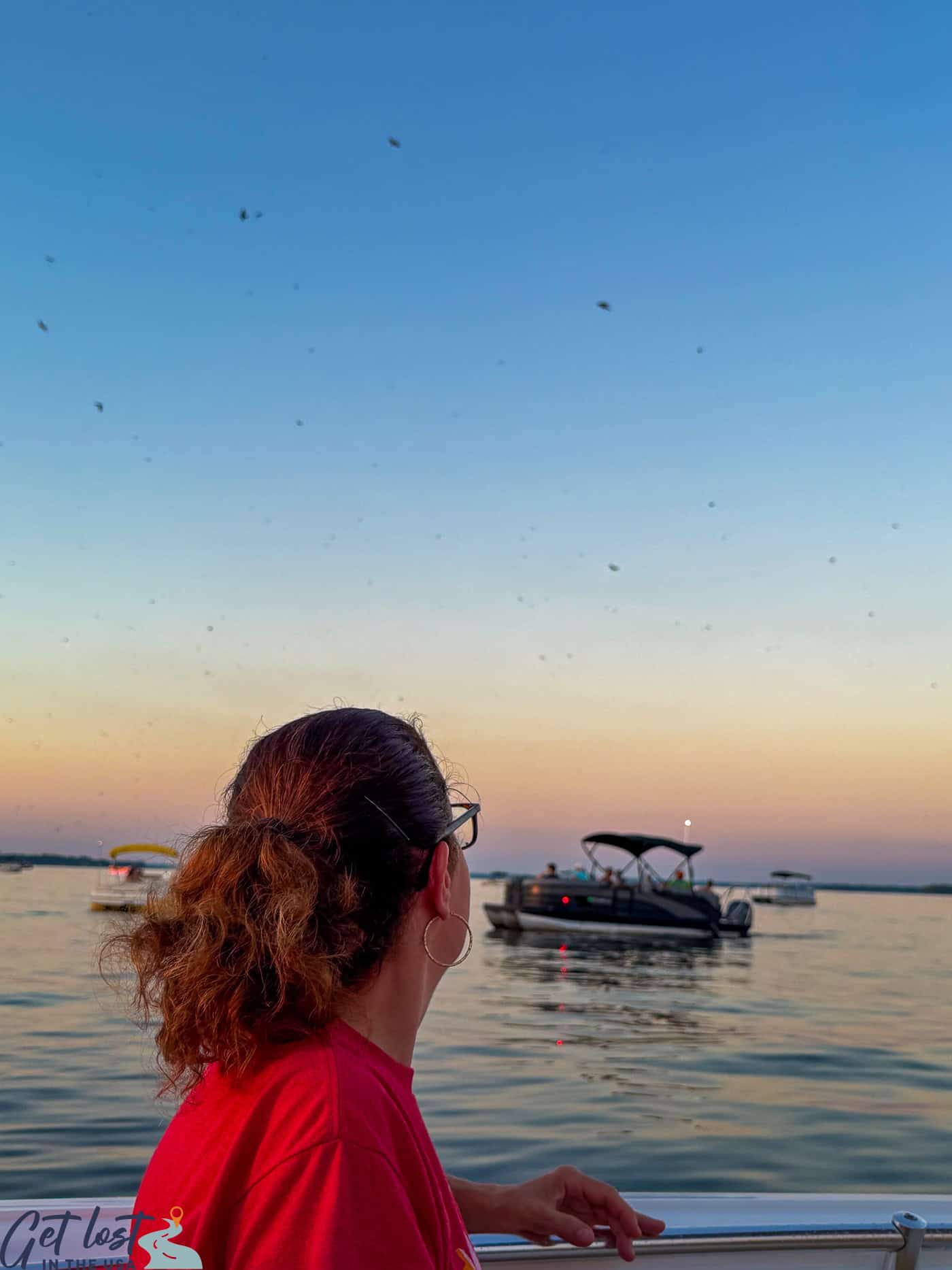 lady watching purple martins.